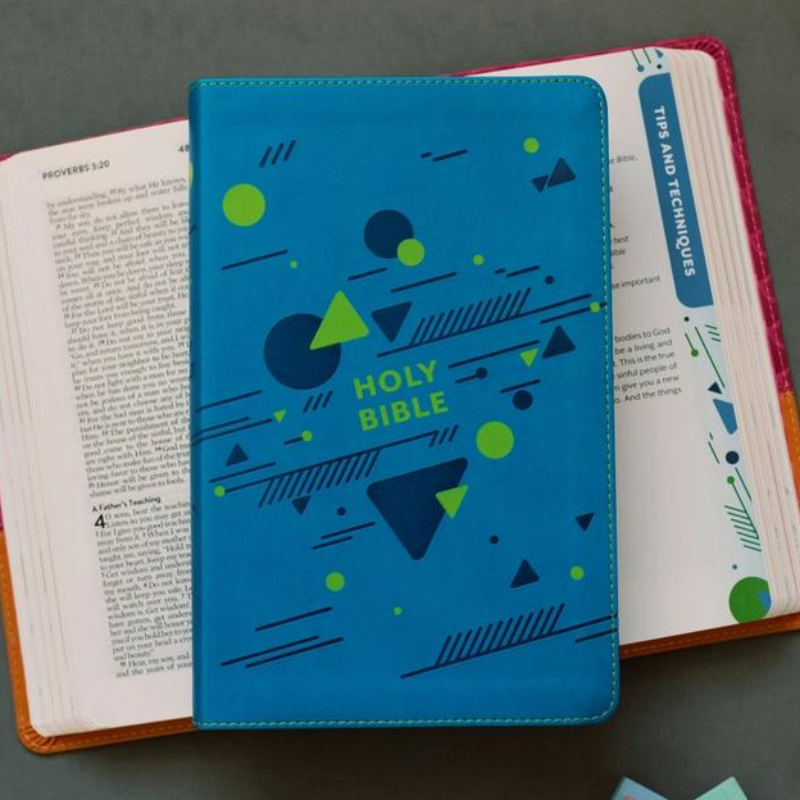 The Know Your Bible NLV Bible for Kids