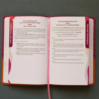 The Know Your Bible NLV Bible for Kids