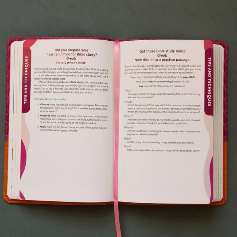 The Know Your Bible NLV Bible for Kids