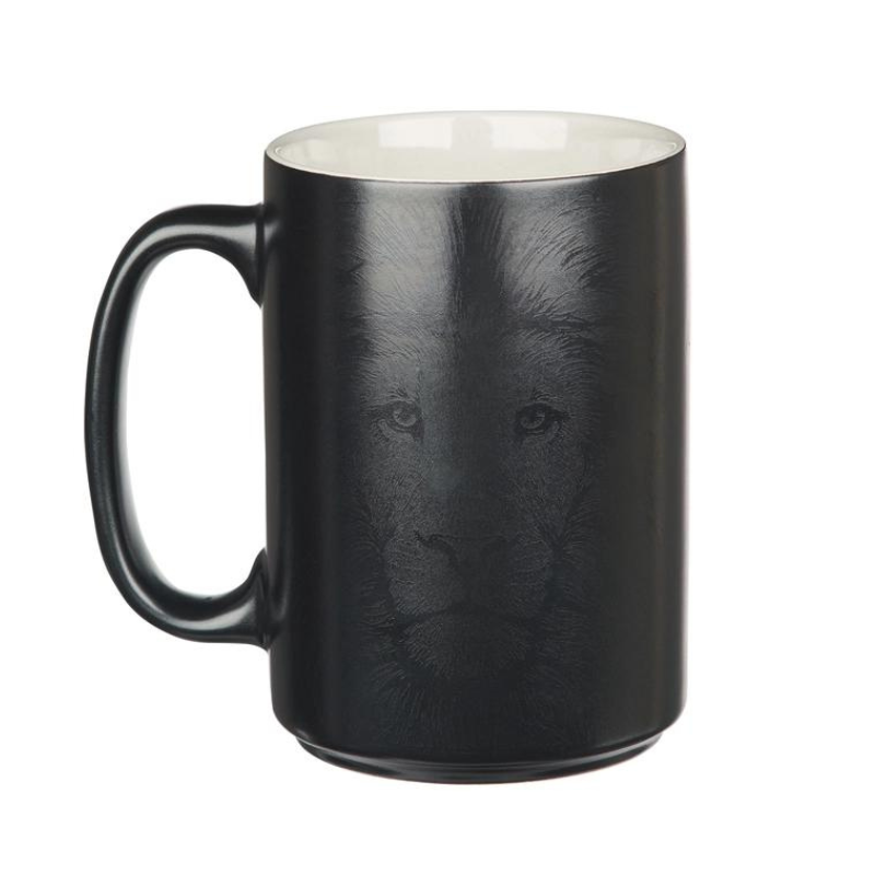 be strong and courageous mug with lion on back