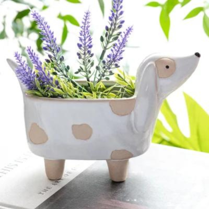 Spotted Dog Planter