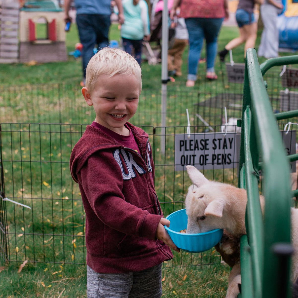 boy-feeding-goats-petting-zoo-at-Midwest-Market