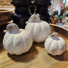 resin-white-chalk-pumpkin