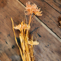 wispy flower pick orange