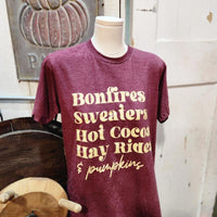 bonfires, sweaters, hot cocoa, hay rides, pumpkins tee