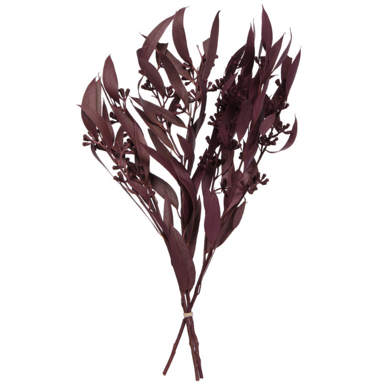 Dried Amber Fruit Bundle
