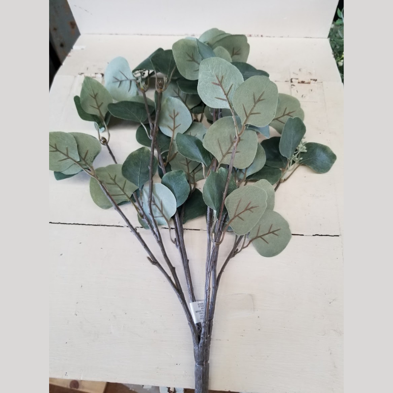 Eucalyptus Bush