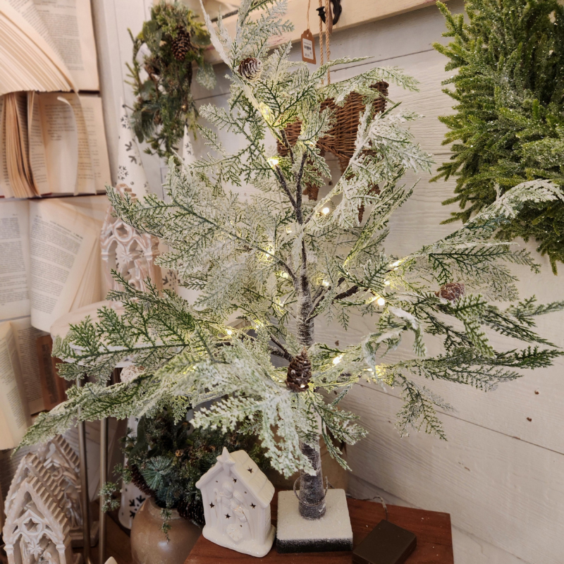Lighted Cedar Tree