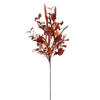Autumn Harvest Foliage