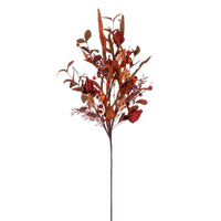 Autumn Harvest Foliage