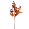 Autumn Seeded Foliage