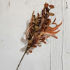 Autumn Seeded Foliage