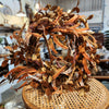 Autumn Seeded Foliage