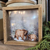 Bear Light-Up Box