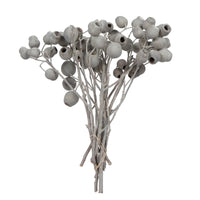 Dried Bellgum Bells