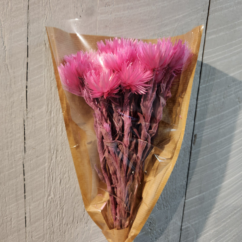 Bright Pink-Dried Everlasting Flower Bundle