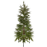 Cedar Christmas Tree