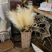 Cream Feather Grass in basket display
