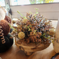 Cream Pincushion Flower