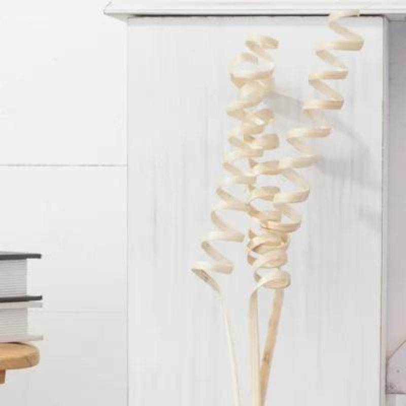 Dried Cane Springs