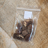 Dried Casuarina Cone Pack