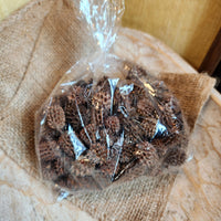 Dried Casuarina Cone Pack