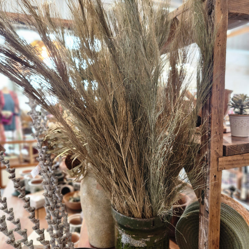 Dried Khejur Sikha Grass