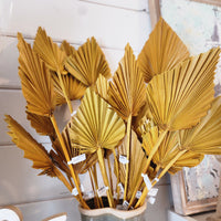 Dried Palm Spear