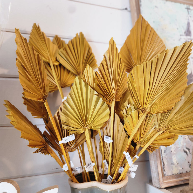 Dried Palm Spear