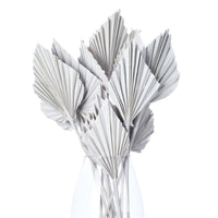 Dried Palm Spear