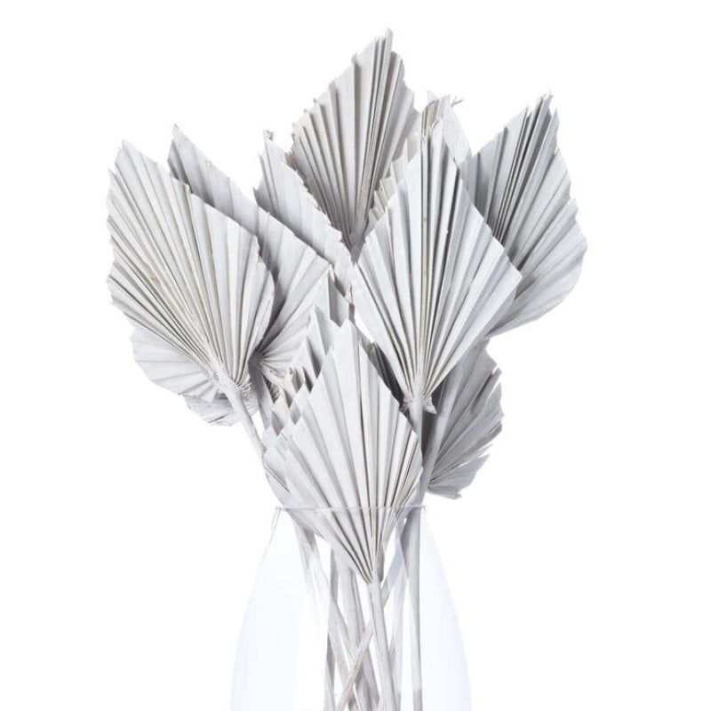 Dried Palm Spear