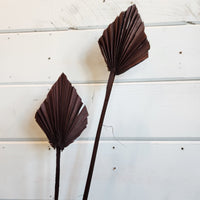 Dried Palm Spear