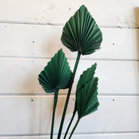 Dried Palm Spear