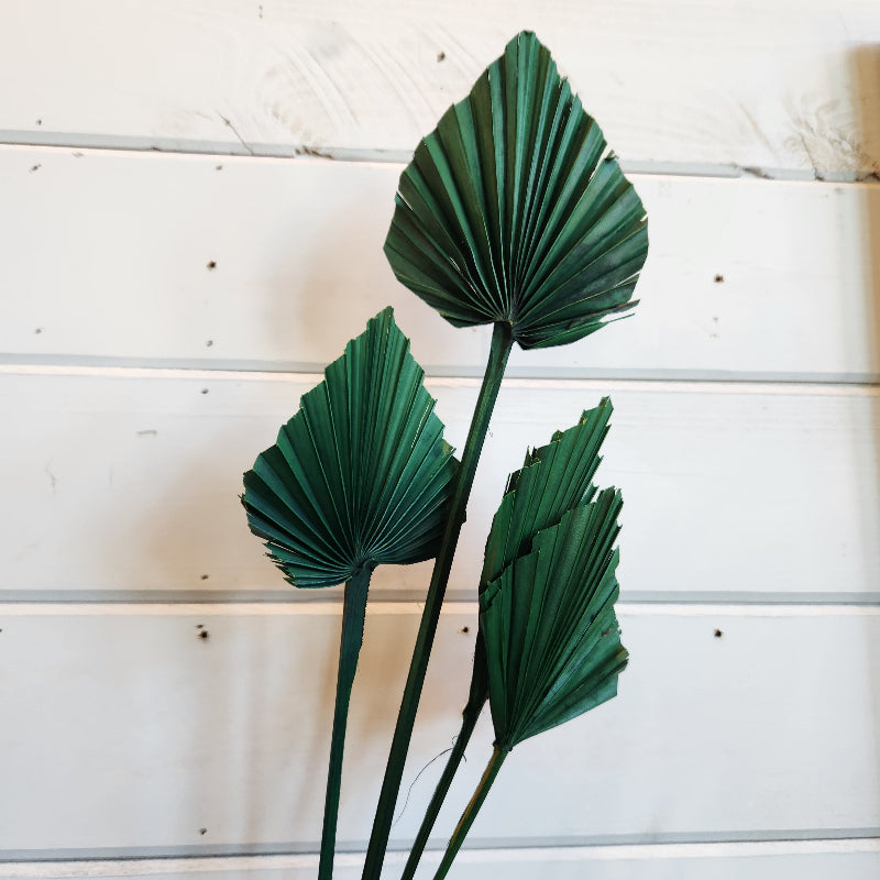 Dried Palm Spear