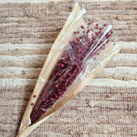 Dried Red Flax Linum