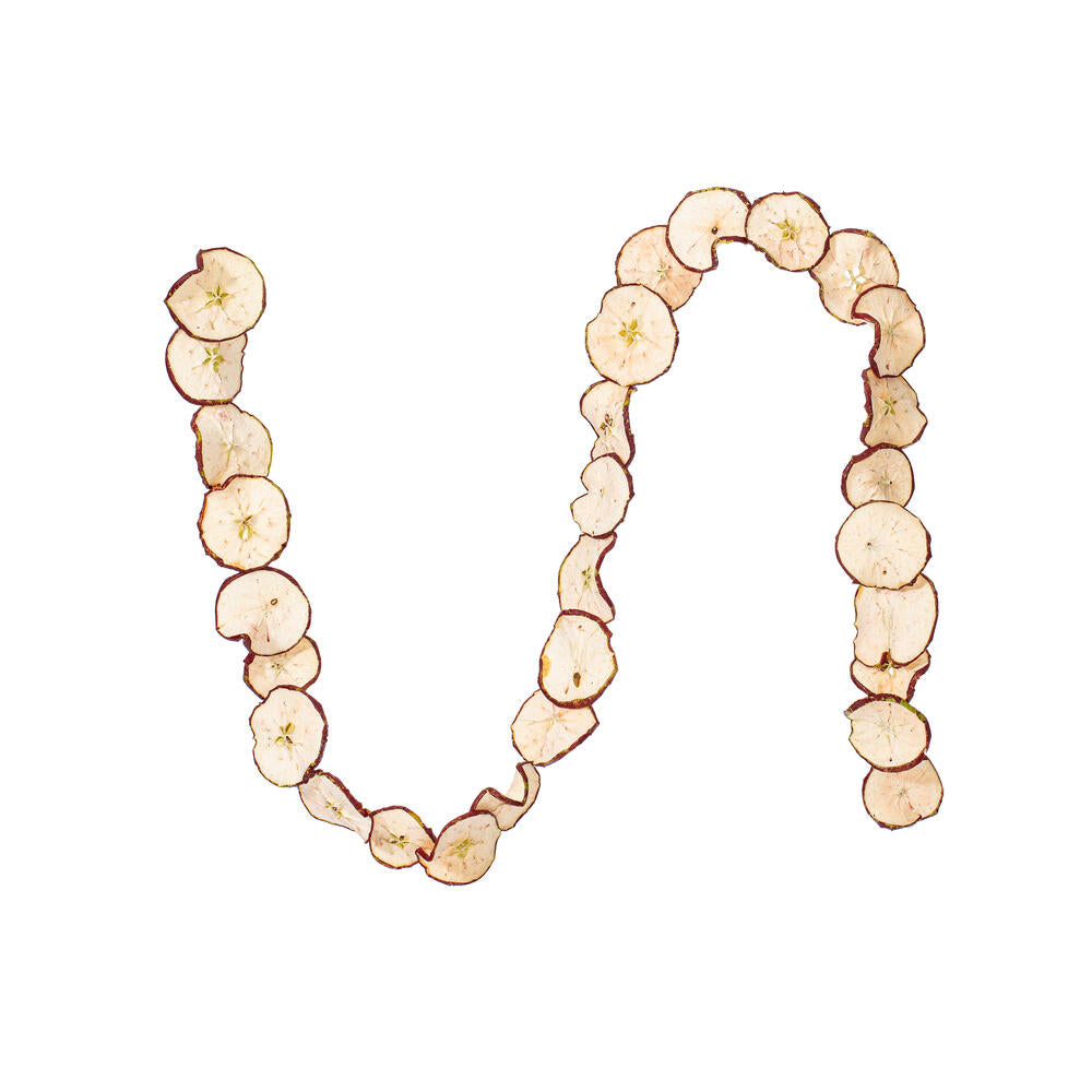 Dried Sliced Apple Garland
