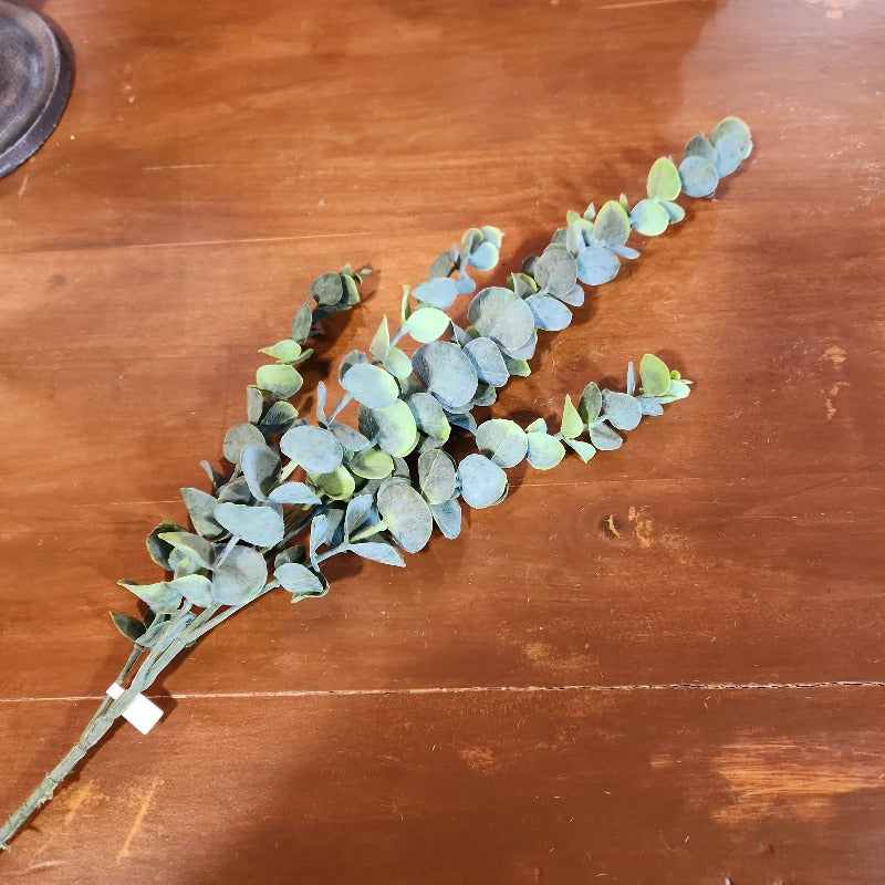 Eucalyptus Spray