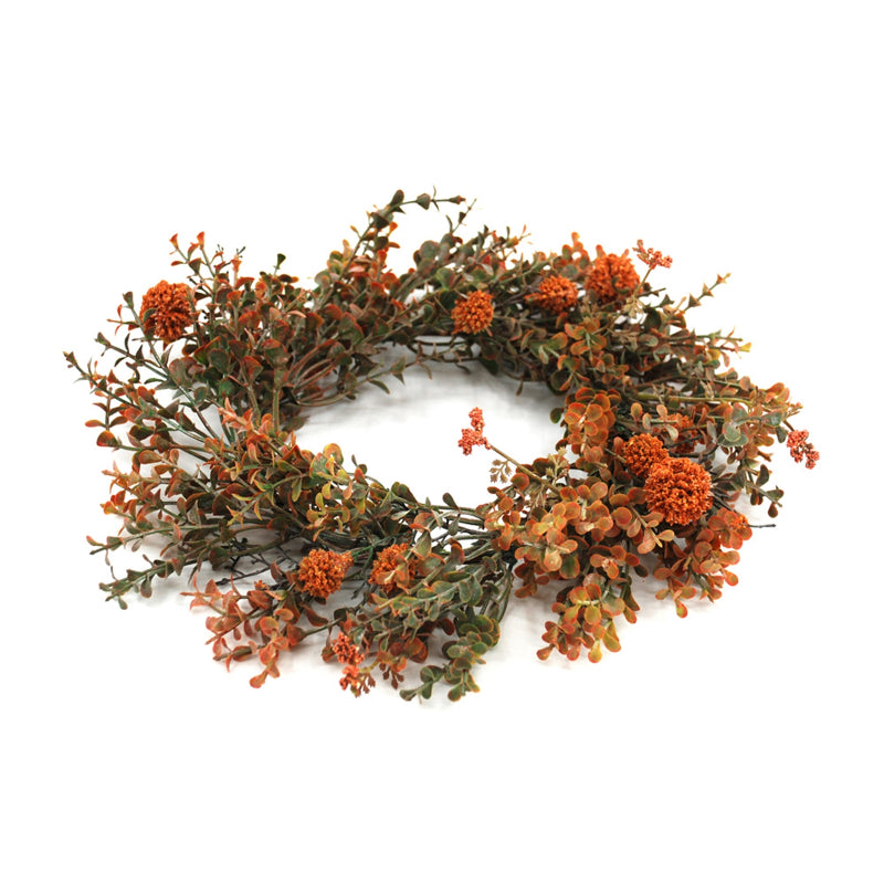 Orange Pincushion Flower