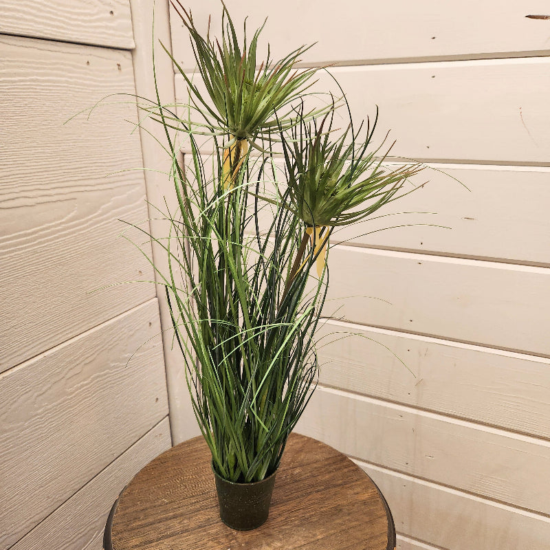 Faux Cyperus Plant