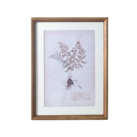 Framed Fern Wall Art