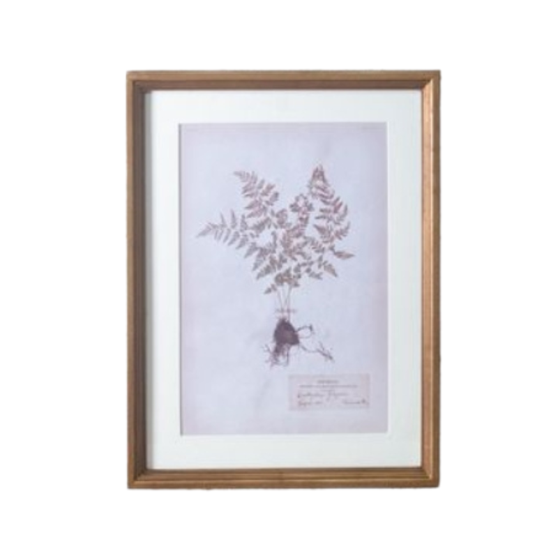 Framed Fern Wall Art