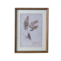 Framed Fern Wall Art