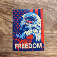 Freedom Eagle USA American Flag Sticker