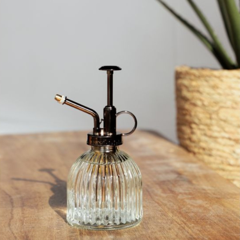 Glass Succulent Mister