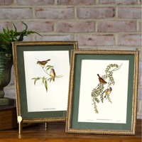 Gold Framed Bird Print