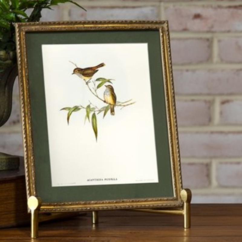 Gold Framed Bird Print
