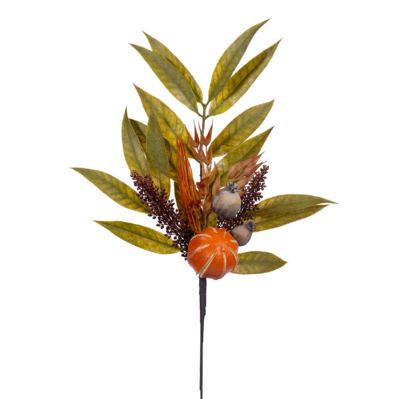 Gourd & Bay Leaf Spray
