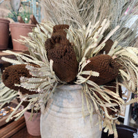 Jumbo Banksia Flower