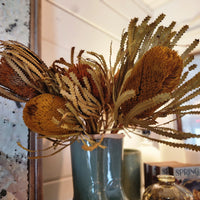 Jumbo Banksia Flower