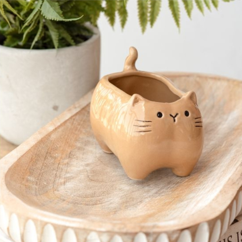Little Kitty Planter